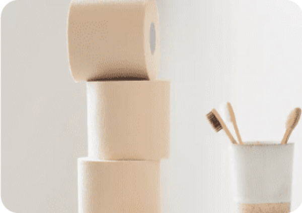 Giấy vệ sinh Việt Nhật 10 cuộn tiêu chuẩn