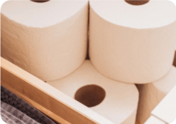 Viện Công nghiệp Giấy và Xenlulo đẩy mạnh ứng dụng kết quả nghiên cứu để nâng cao chất lượng