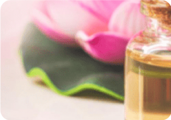 Ngành kinh doanh khăn giấy toàn cầu – Những thay đổi mang tính bước ngoặt trong xu hướng tiêu dùng