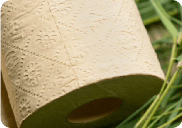 Tiêu chuẩn sử dụng bột giấy nguyên sinh